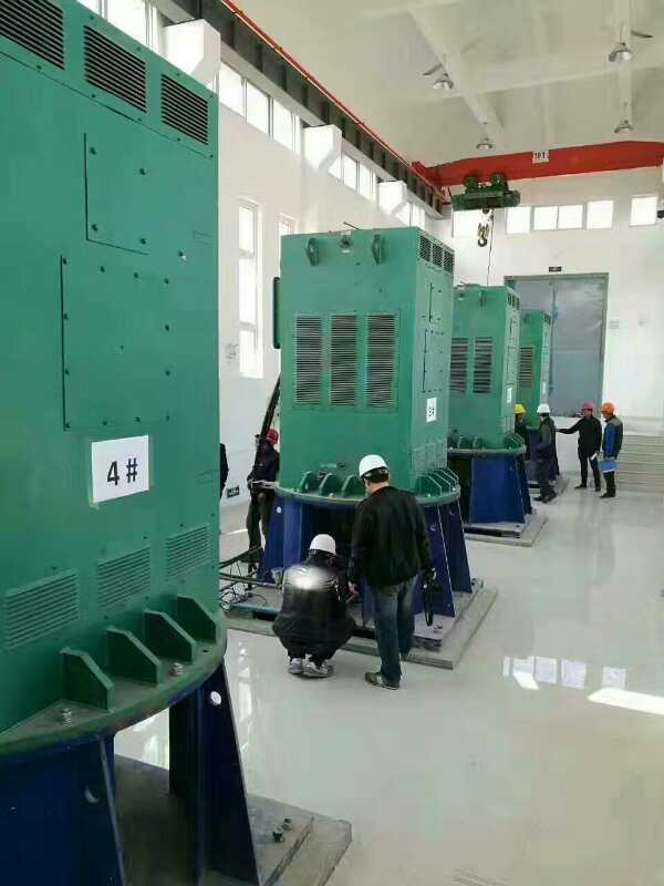 黄圃镇某污水处理厂使用我厂的立式高压电机安装现场